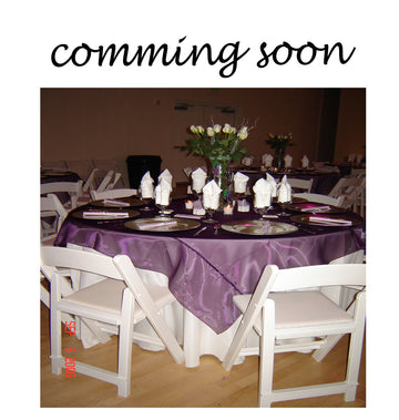 Organza Table Overlays