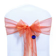 Brunt Orange