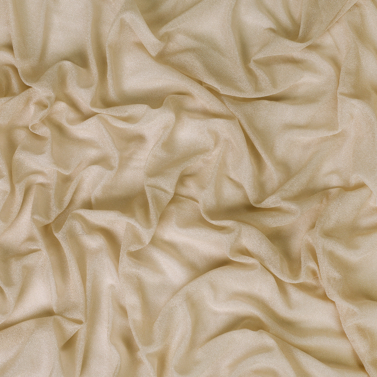 Champagne,e8df5ac7-b1d4-4aee-ad7a-d8b57e11fa1b