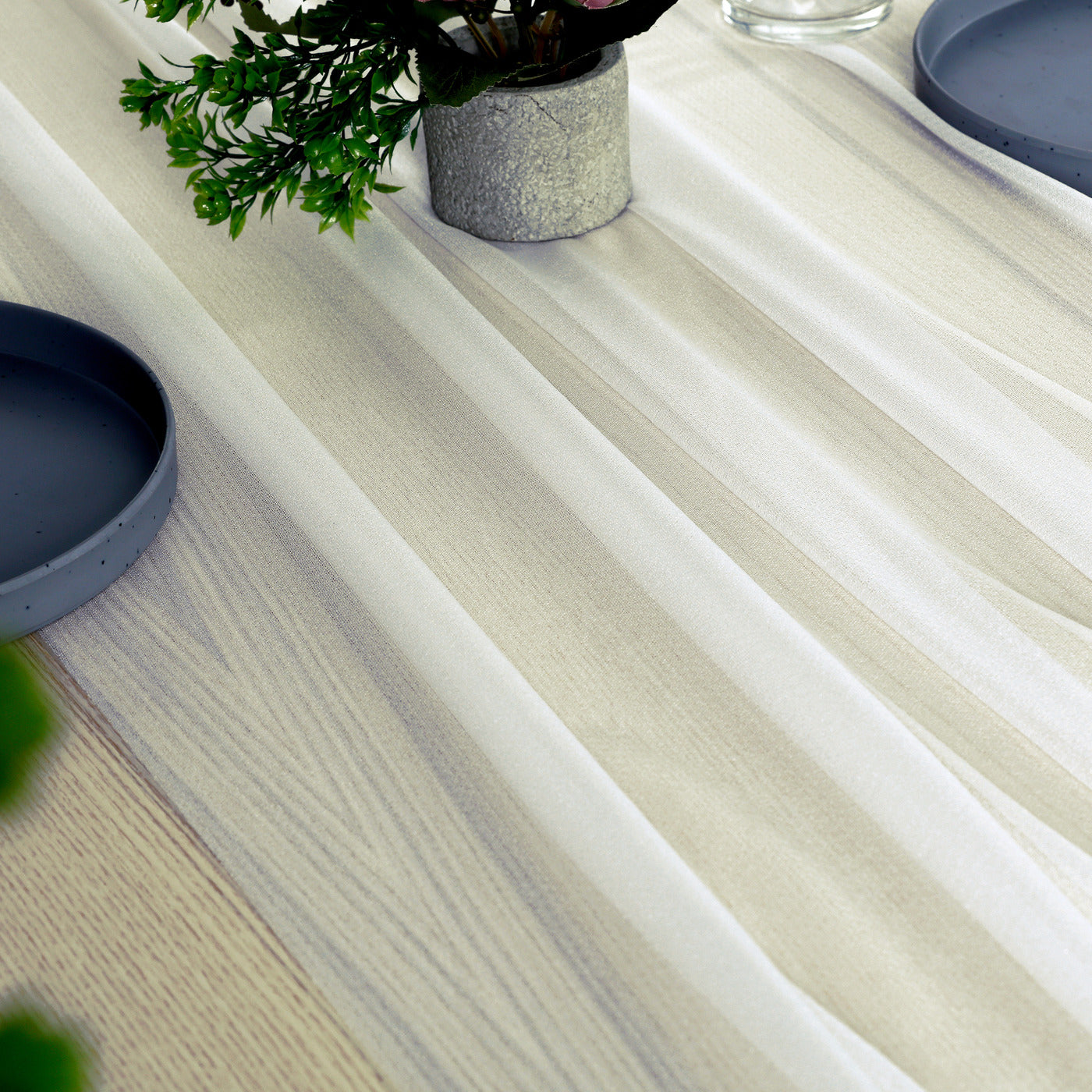 Ivory,6