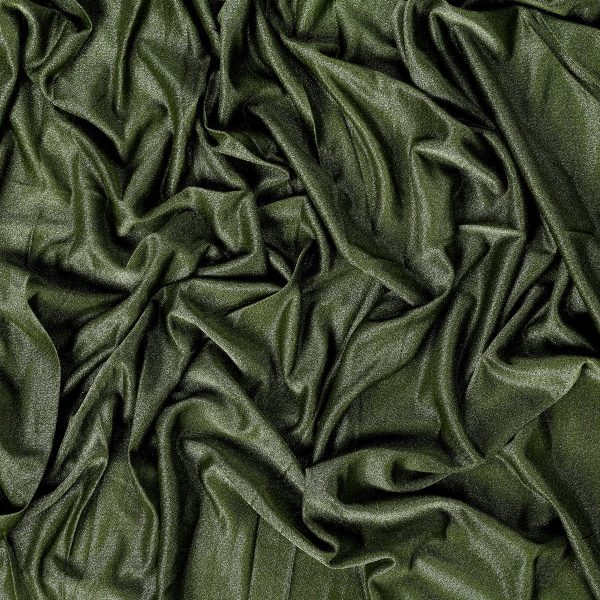 Olive,6aa83d78-6773-4d65-b432-369f5efced81