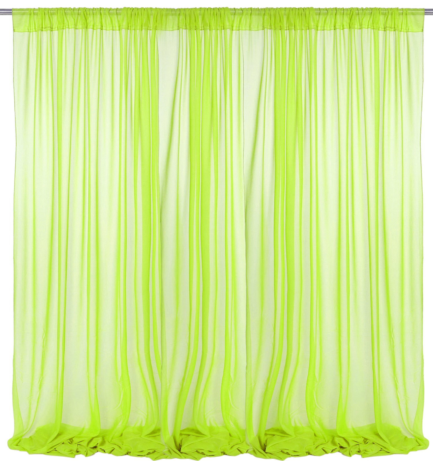 Parrot Green,e26087c7-b338-4238-bfa1-f11237877766