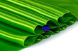 Parrot Green