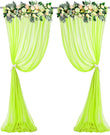 Parrot Green