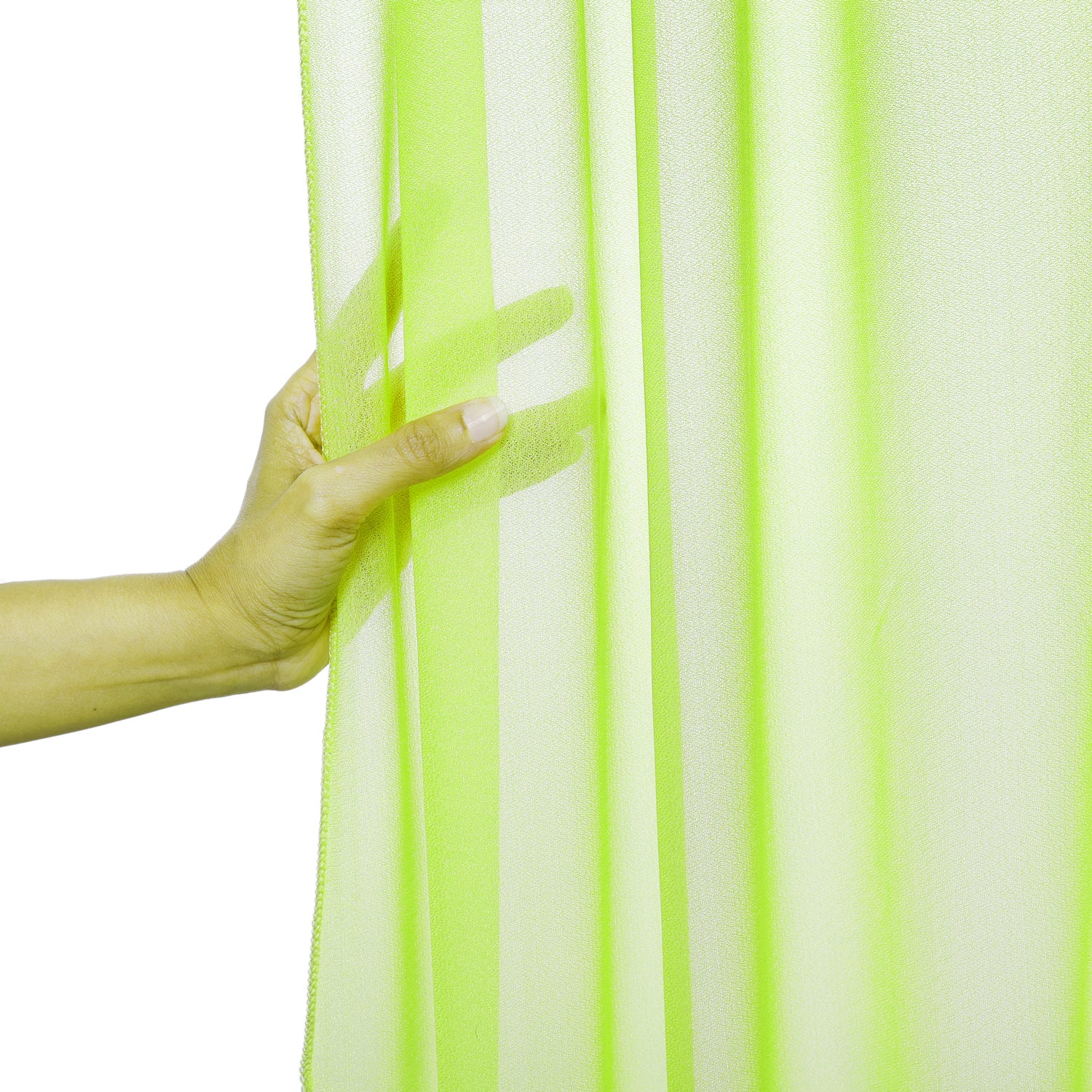 Parrot Green,a424461d-ae81-4085-ae2a-bde2b673ffa8
