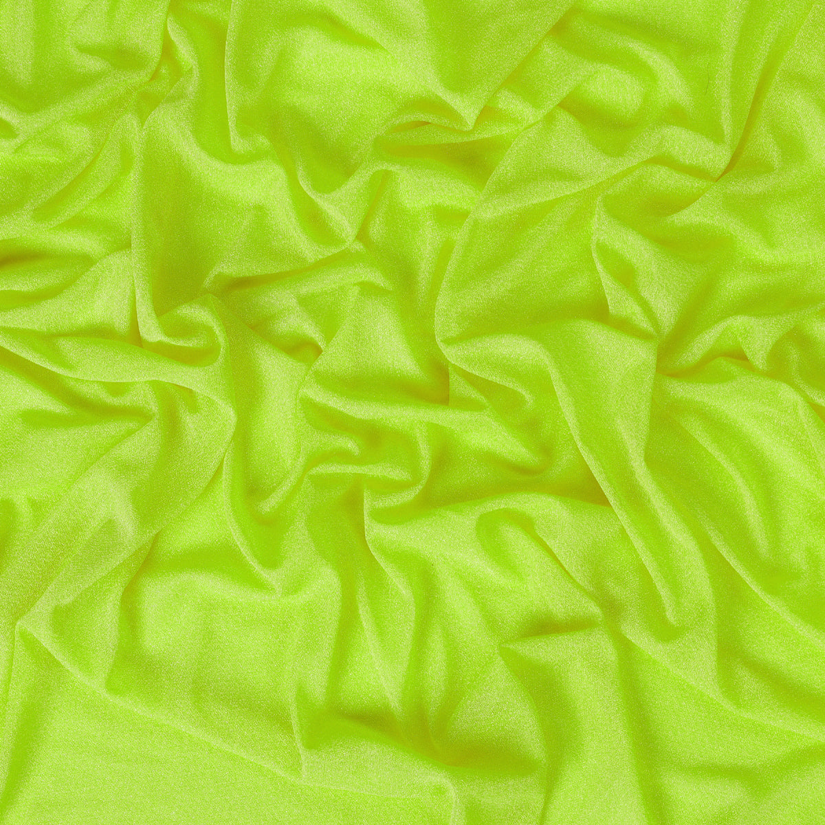 Parrot Green,c94423f9-fa57-4401-aeb9-4694842ff98b