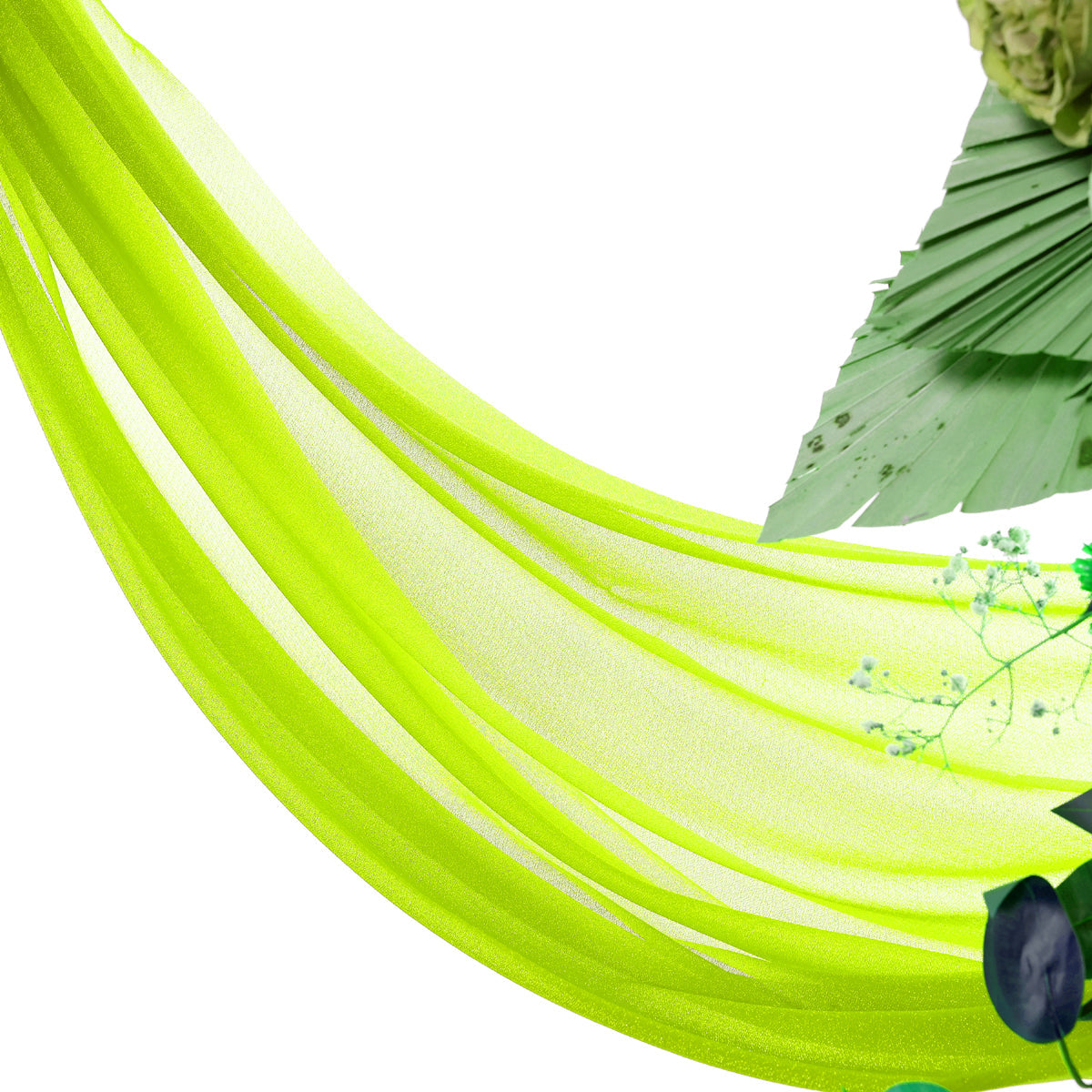 Parrot Green,80055e4d-4fba-4782-a25b-1360cab4503f