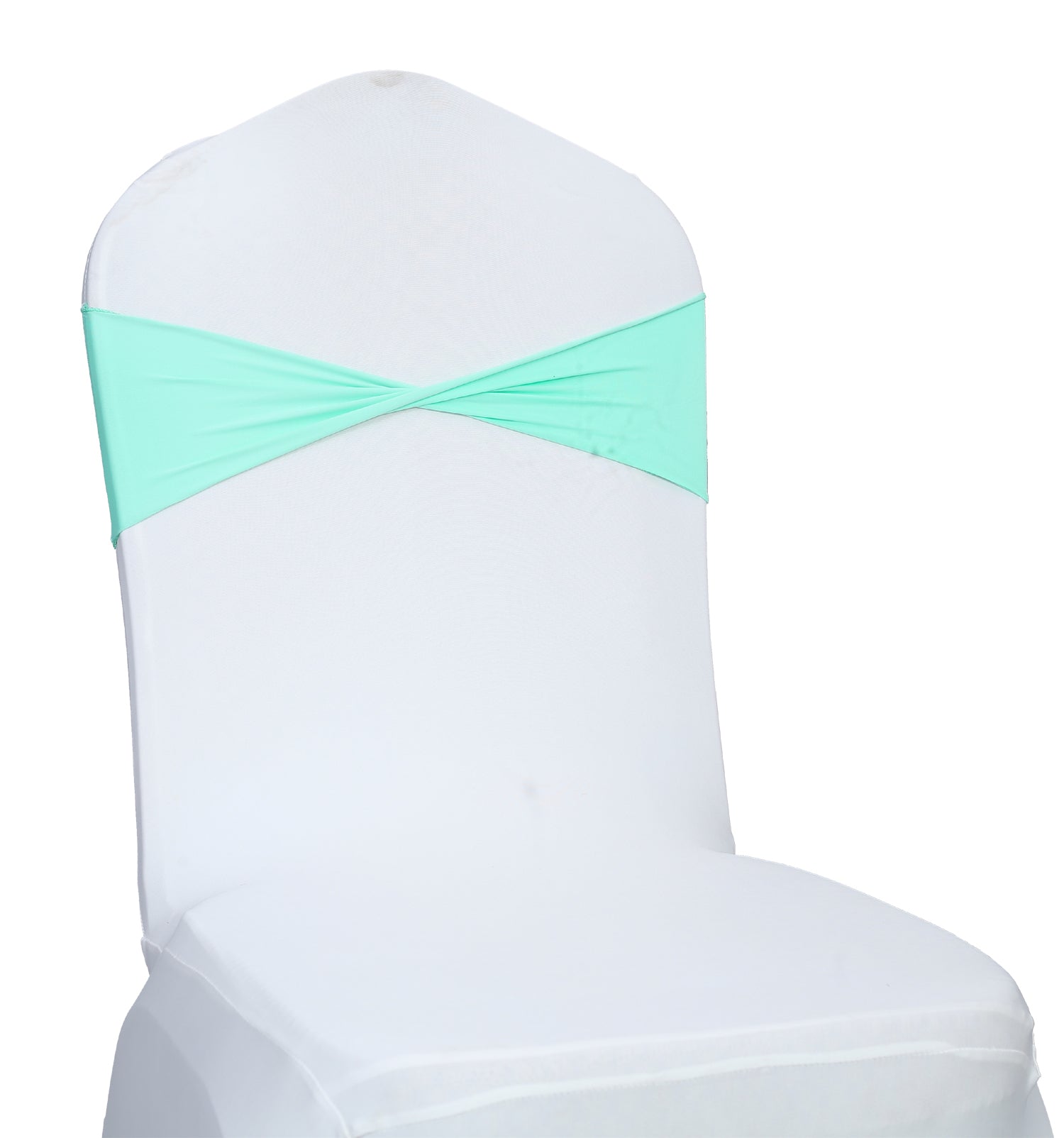 Tiffany Blue,4c8b25ba-7623-4db9-b78f-9b9ddb00a4a1