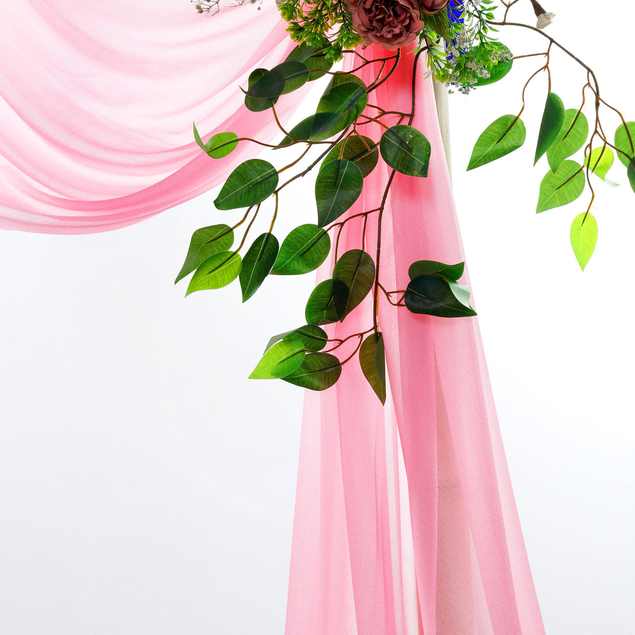 Coral,2a5240d6-b15d-45aa-878a-d9476fe79dc2
