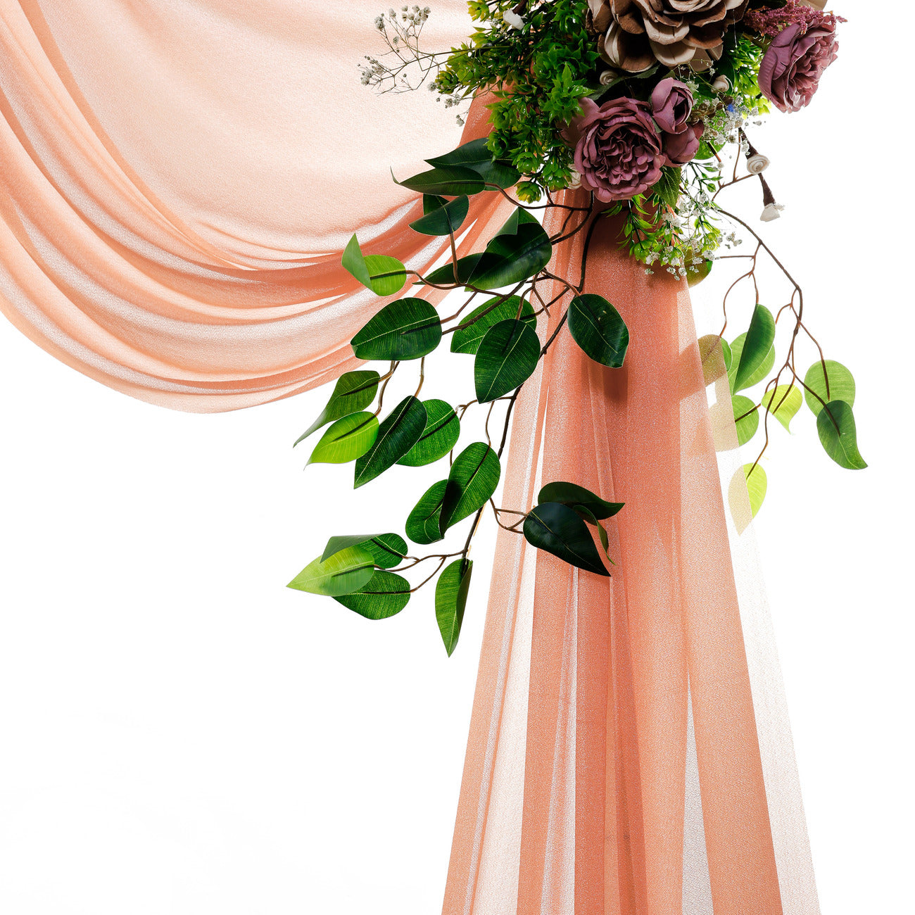 Coral Peach,85814212-1534-4c1b-9995-7f48e2385f48