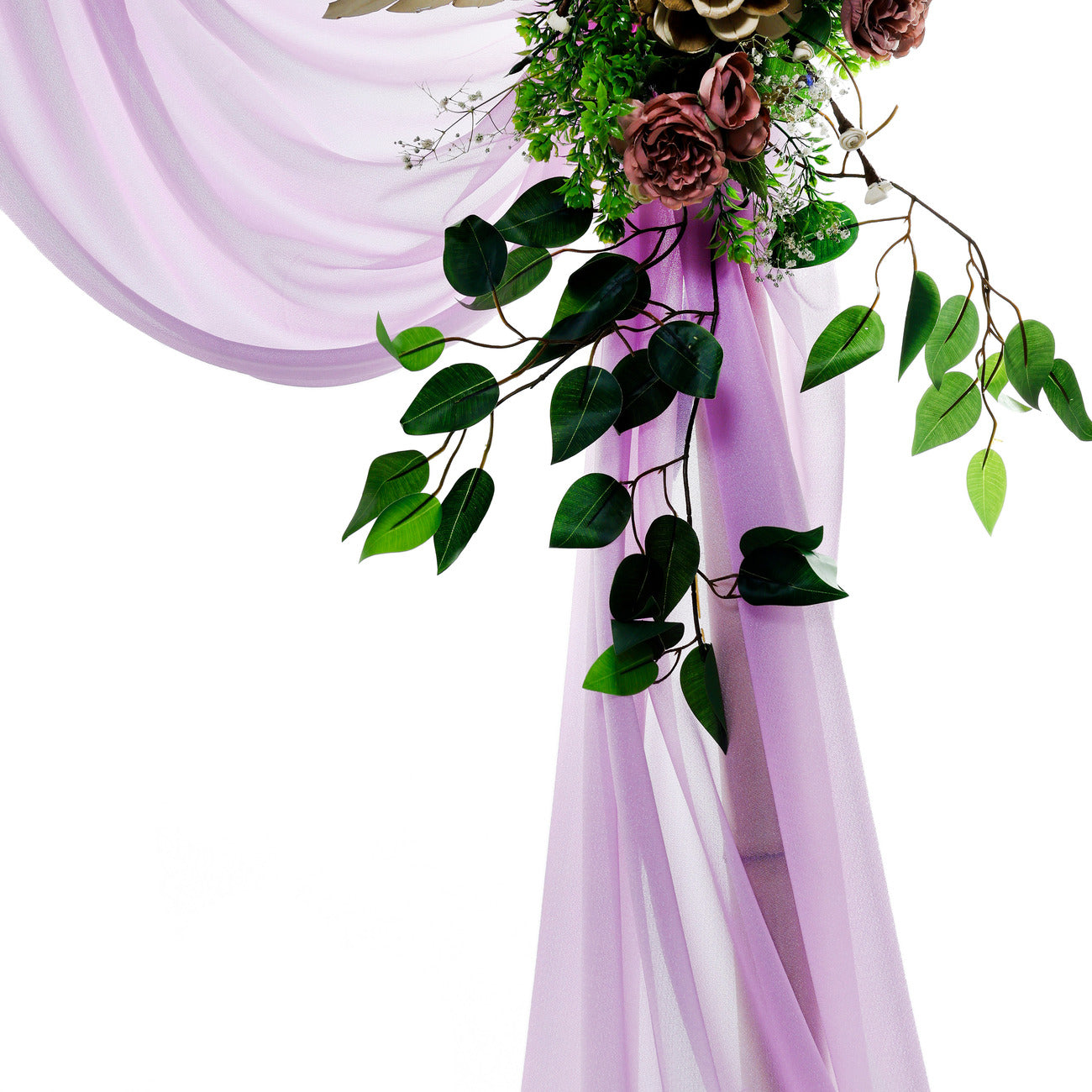 Orchid,34c541fb-cdc8-46c5-bf9f-1915be73a595