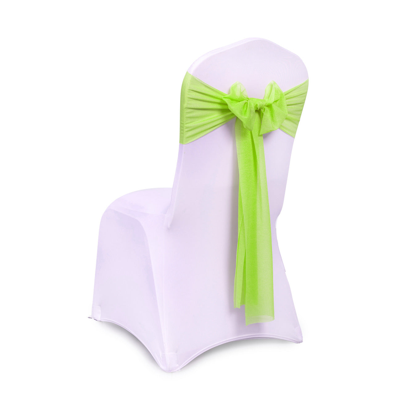 Parrot Green,9ae0df08-d0e8-4cff-b3d3-fc2f0bcf96c5