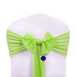 Parrot Green
