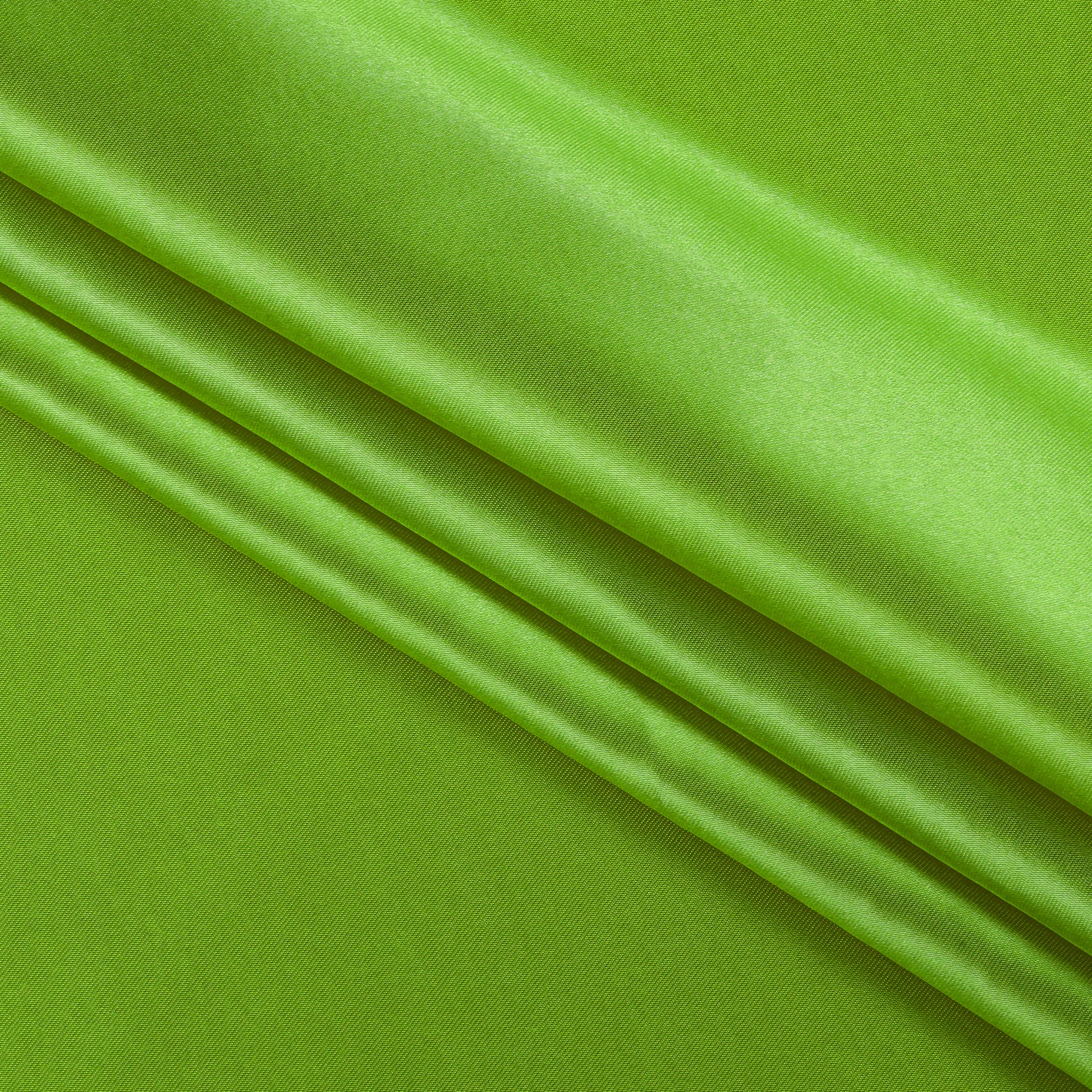 Parrot Green,d7f5a9bf-1cfb-4a54-8f99-44ea25bdc794