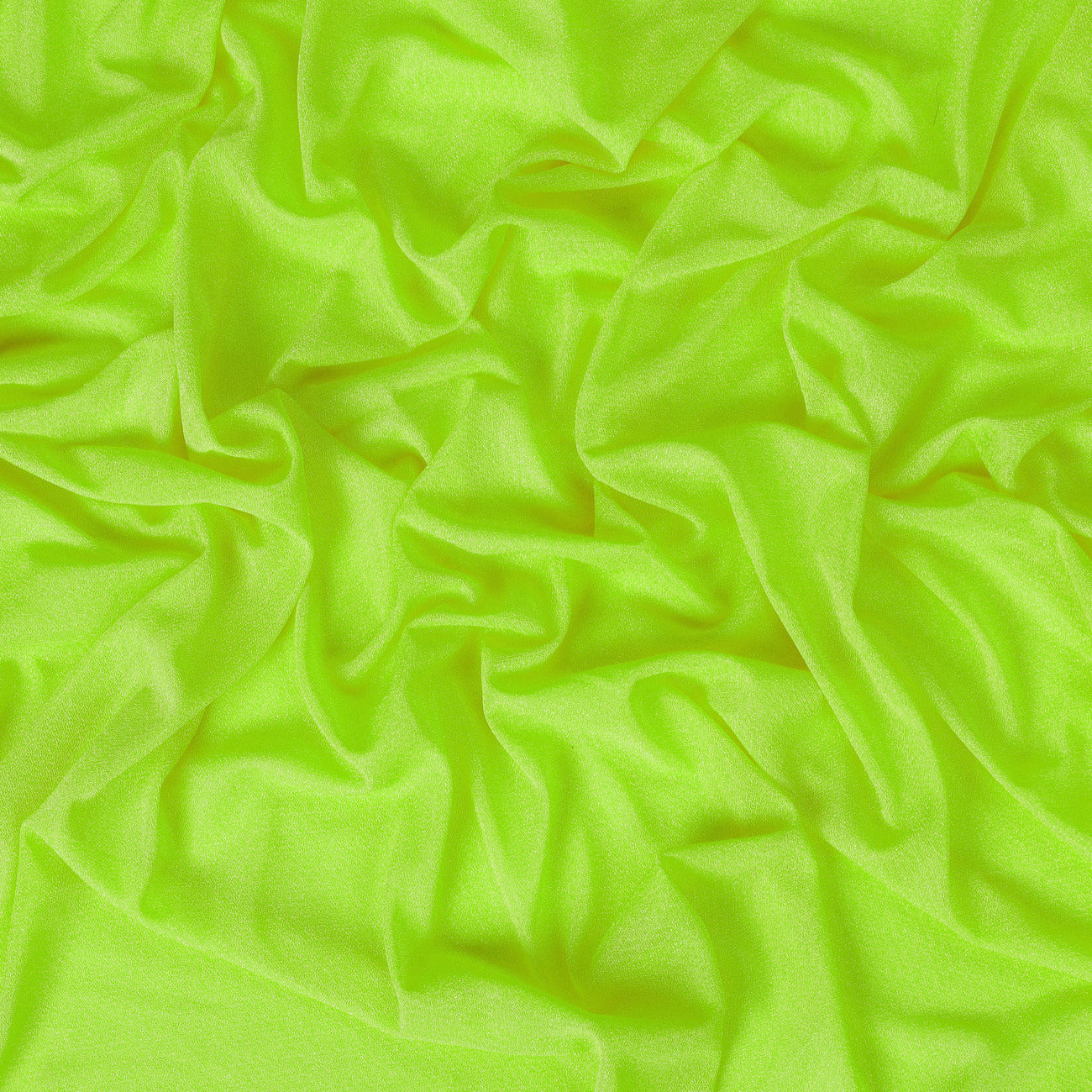 Parrot Green,2e521181-6db3-4b7d-ad8f-78612fd39a24