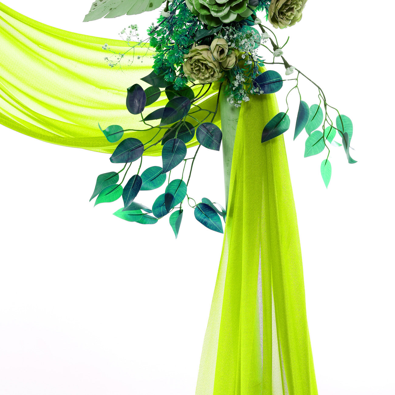 Parrot Green,83f9533b-29f3-4021-b79e-7d78ea3da189
