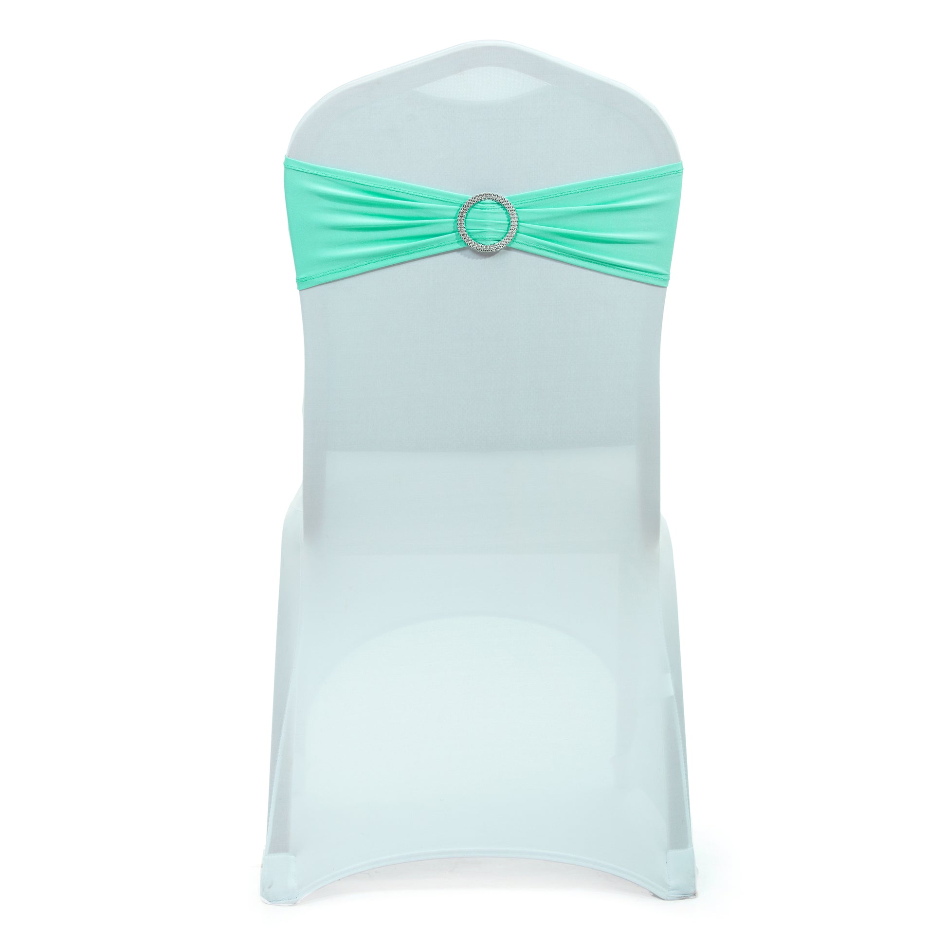 Tiffany Blue,8a5fc72a-cc2e-4182-9b46-19a4b25509e9
