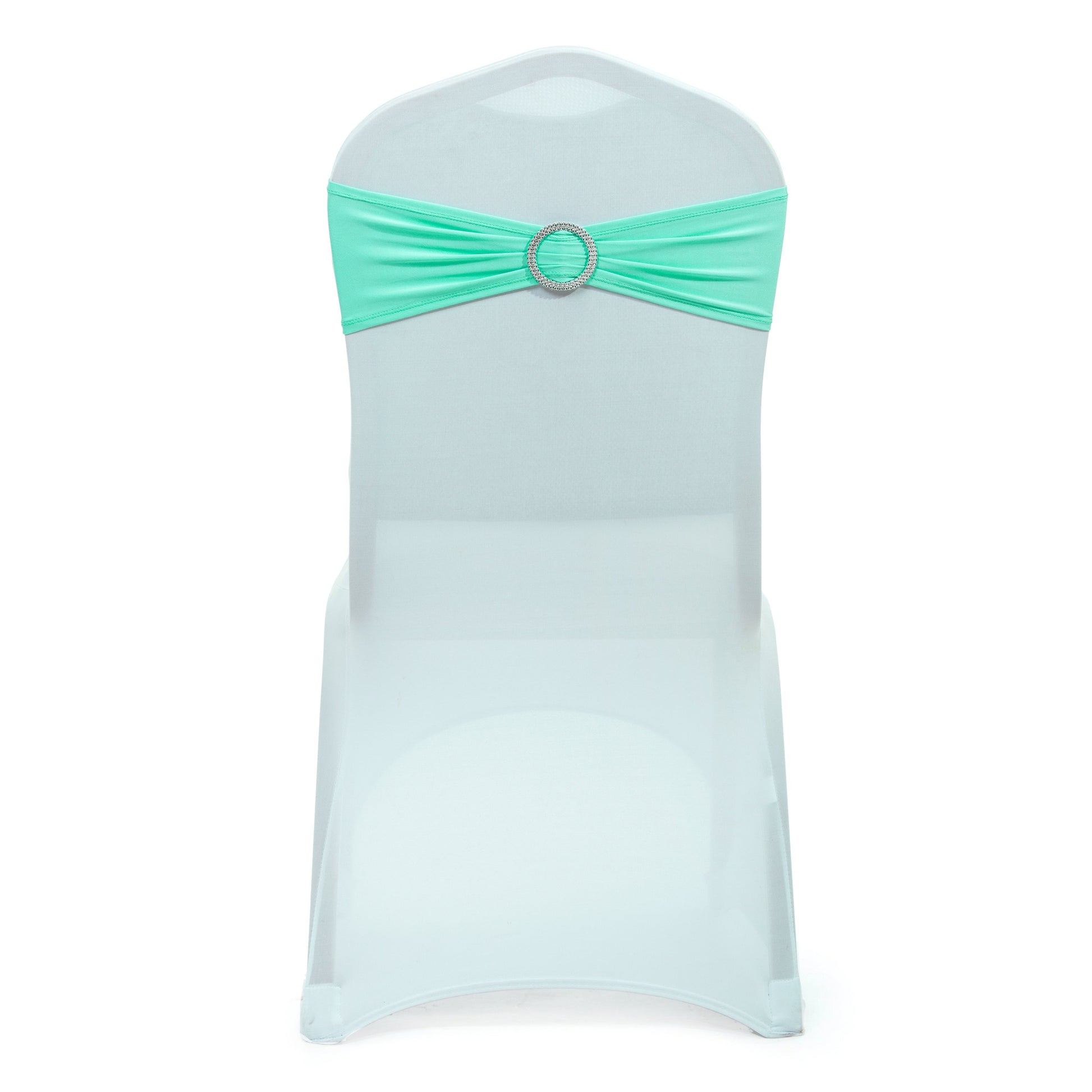 Tiffany Blue,bc5fea0c-e2c2-41a8-b32a-3b20523d0c8a