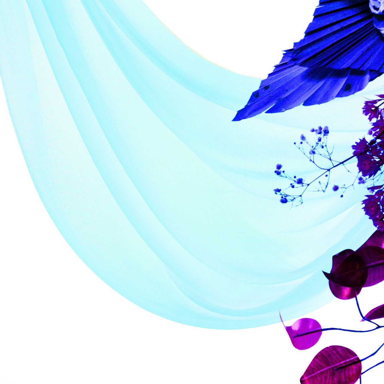 Teal,4297bb6e-14fa-4416-ad0a-6597fbedf596